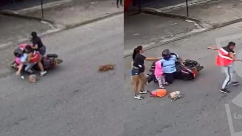 Motorista atropelló a perrito que cruzaba la calle y luego lo pateó 